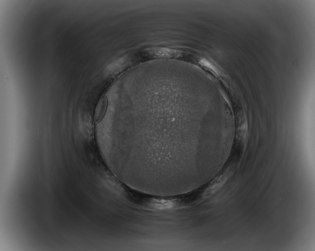 X0000086760469200704201748