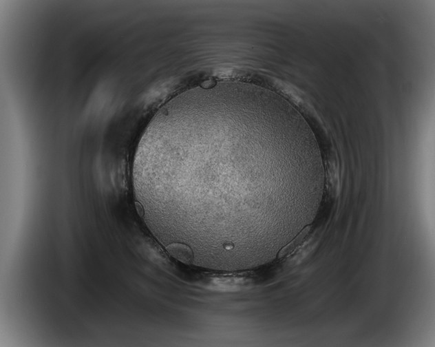 X0000086760470200704201748