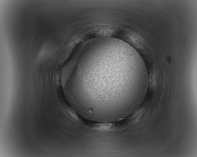 X0000086760474200704201748