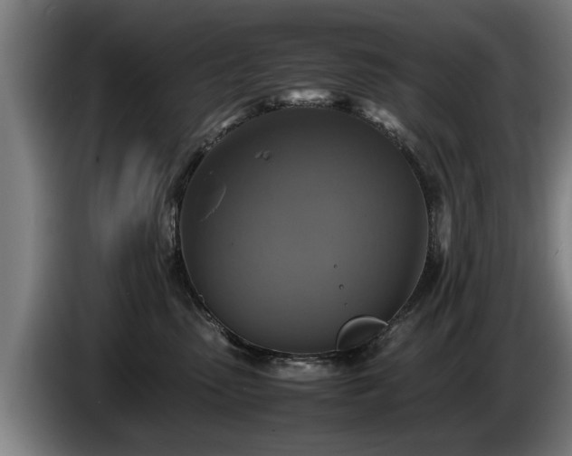 X0000086760475200704201748