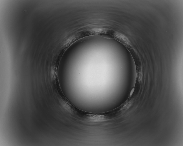 X0000086760476200704201748