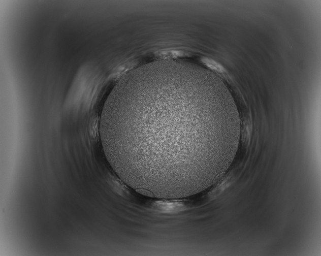 X0000086760477200704201748