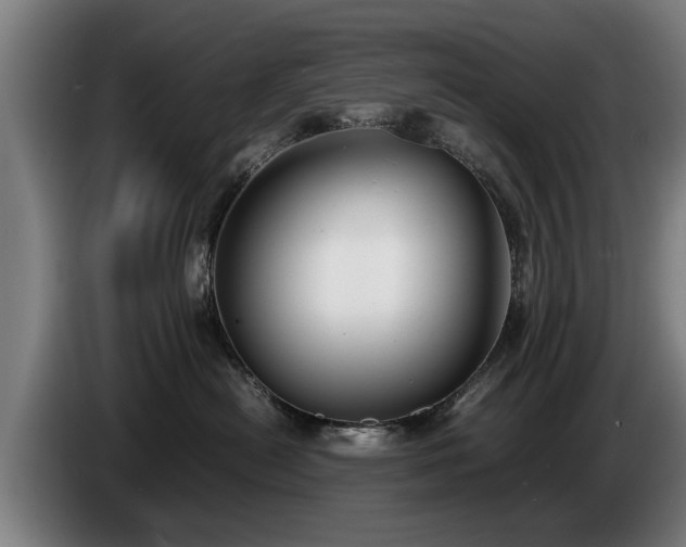 X0000086760478200704201749