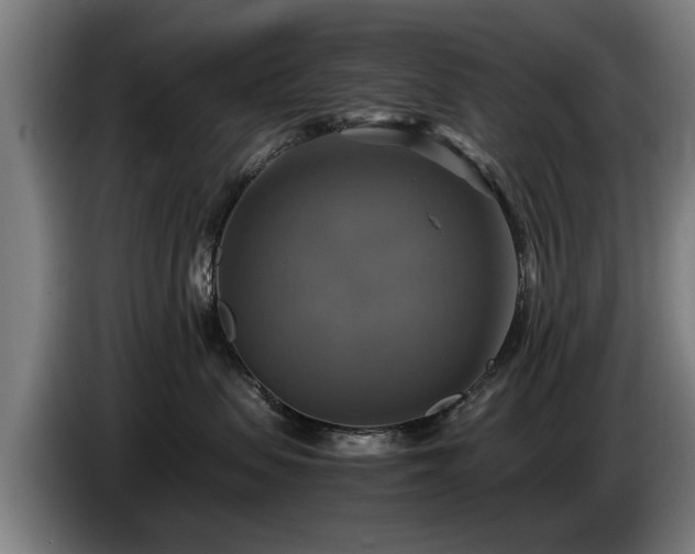 X0000086760479200704201749