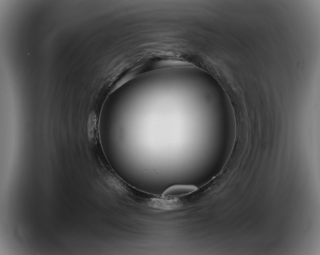 X0000086760480200704201749