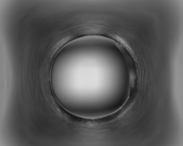 X0000086760481200704201748