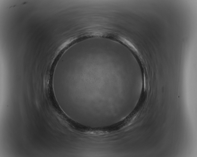 X0000086760483200704201748