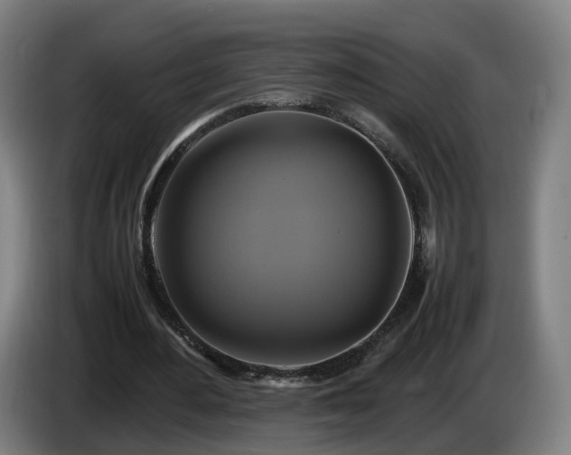 X0000086760484200704201748