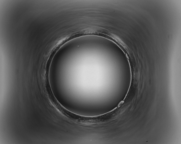 X0000086760485200704201748