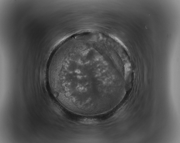 X0000086760487200704201748