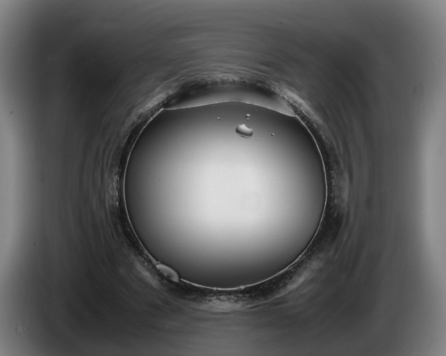 X0000086760489200704201748