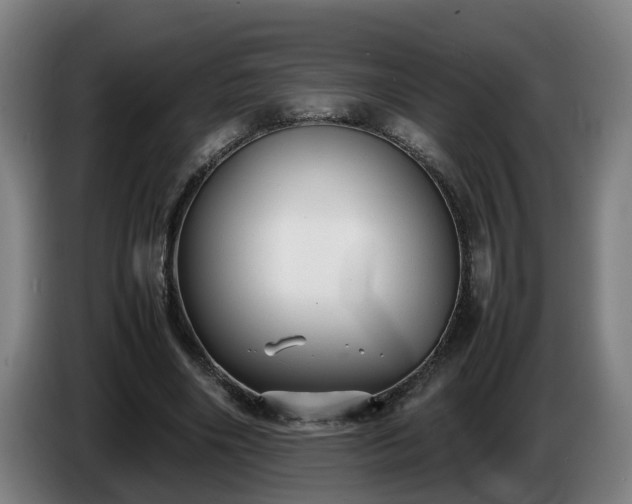 X0000086760490200704201748