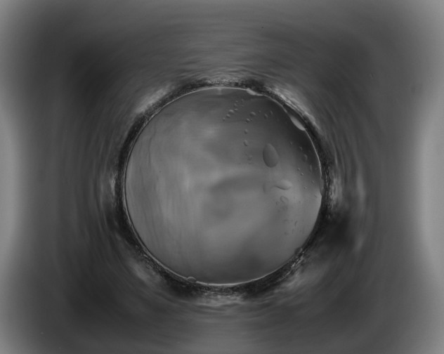 X0000086760491200704201748