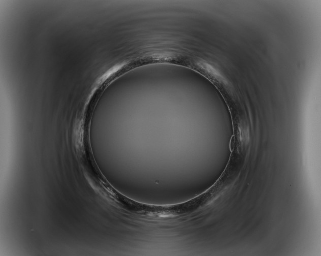 X0000086760492200704201748