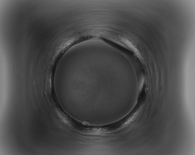 X0000086760493200704201748