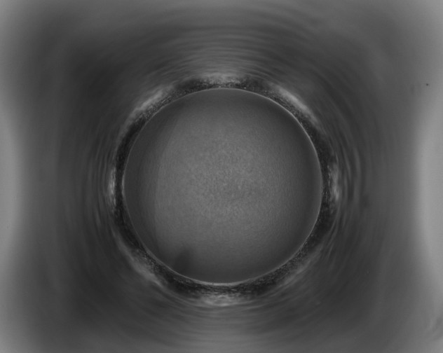 X0000086760494200704201748