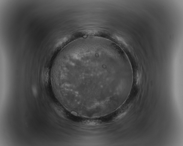 X0000086760495200704201748