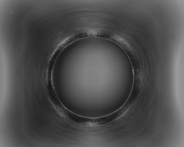 X0000086760496200704201748