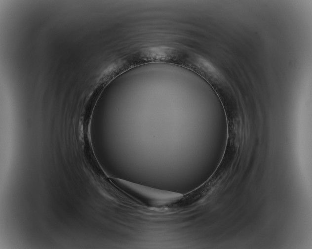 X0000086760500200704201748