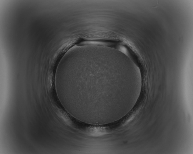 X0000086760501200704201748