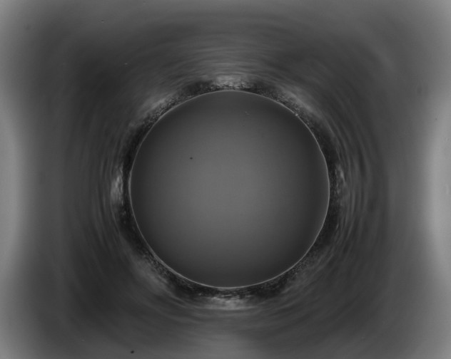 X0000086760502200704201748