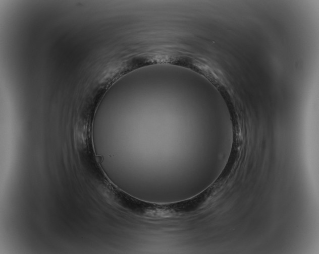 X0000086760503200704201748