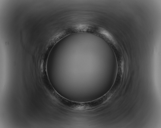 X0000086760504200704201748
