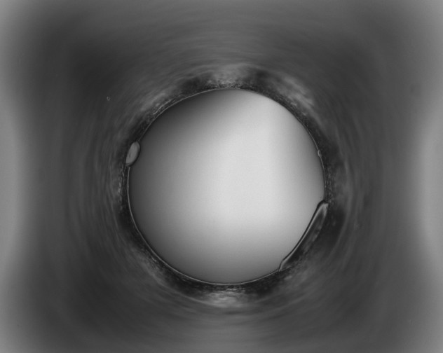 X0000086760505200704201748