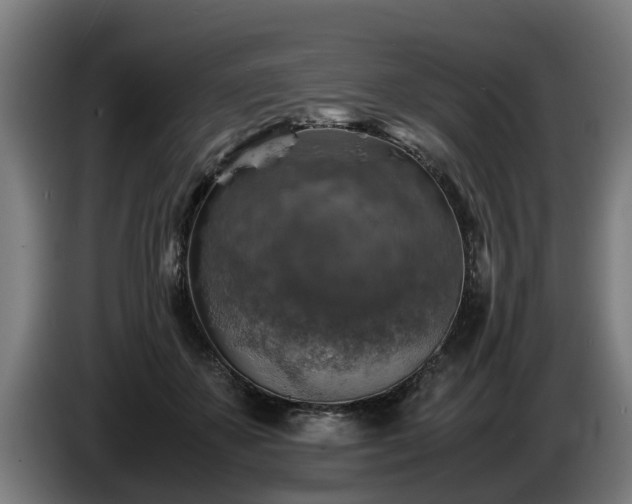 X0000086760507200704201748