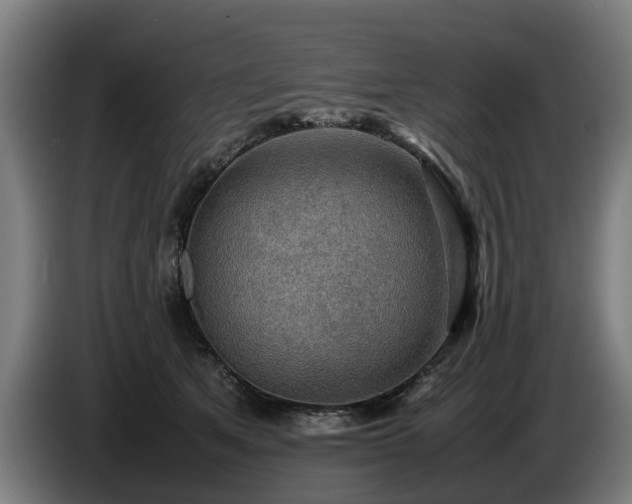 X0000086760513200704201748