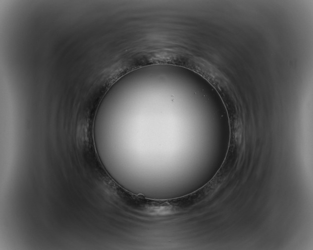 X0000086760514200704201748