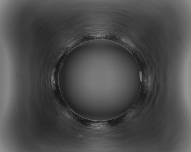X0000086760516200704201747