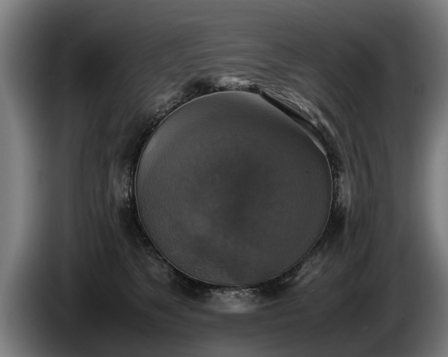 X0000086760517200704201747