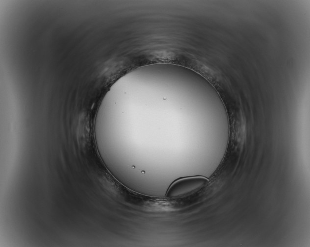 X0000086760518200704201747