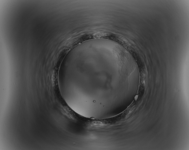 X0000086760519200704201747