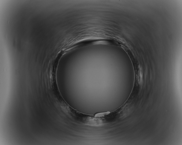 X0000086760520200704201747