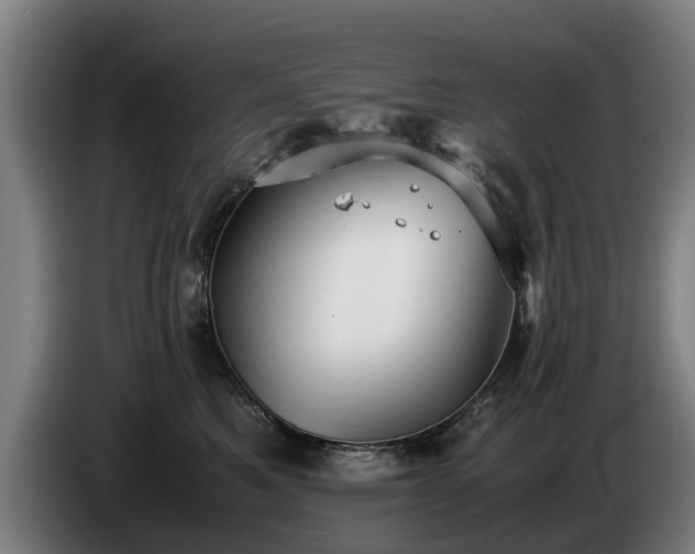 X0000086760521200704201747