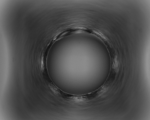 X0000086760524200704201747