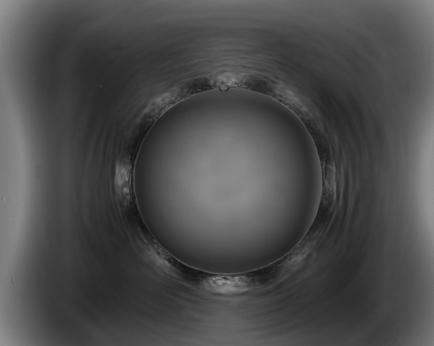 X0000086760526200704201747