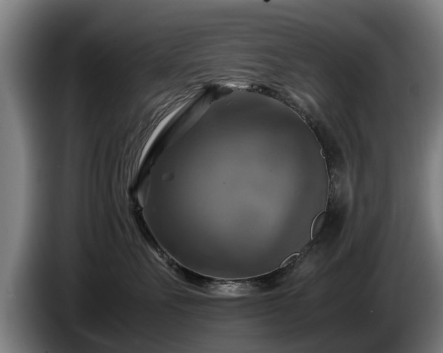 X0000086760527200704201747