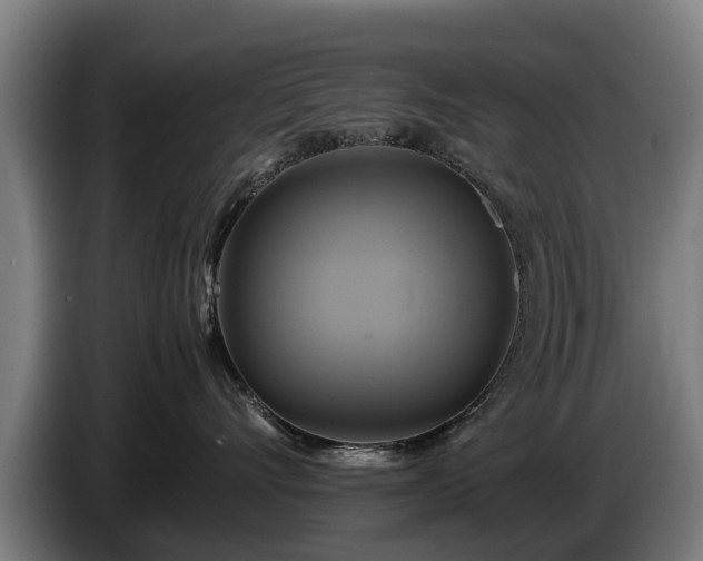 X0000086760528200704201747