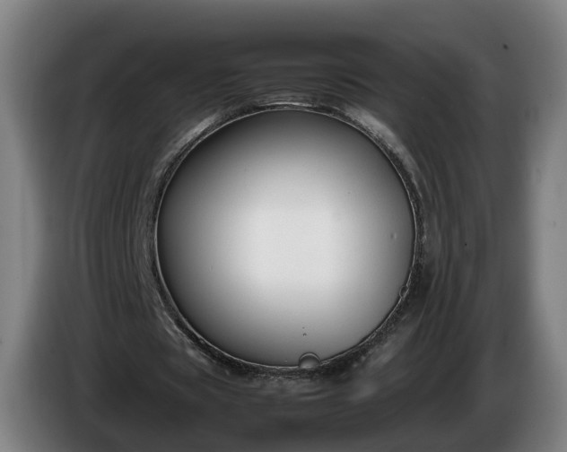 X0000086760529200704201747