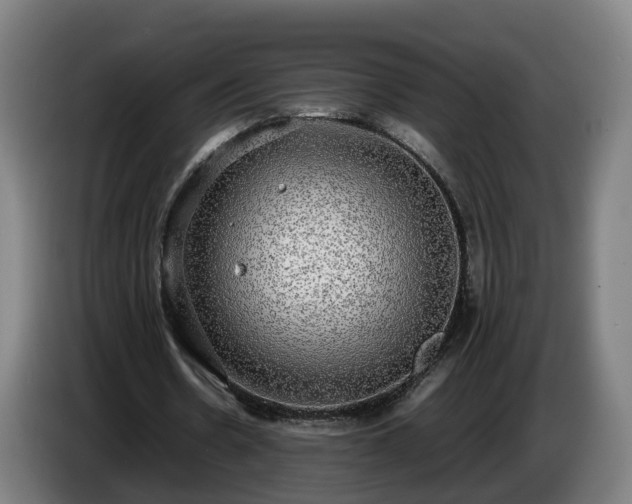 X0000086760530200704201747