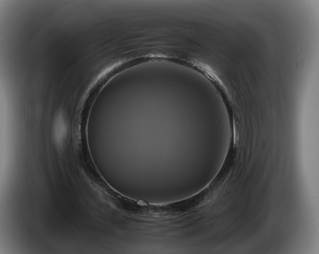 X0000086760531200704201747