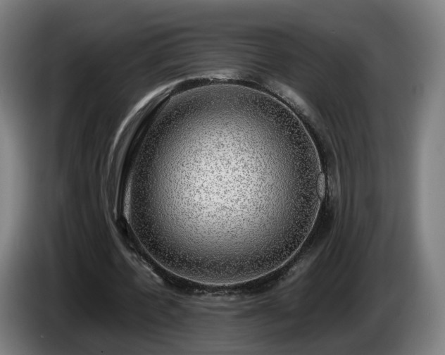 X0000086760532200704201747