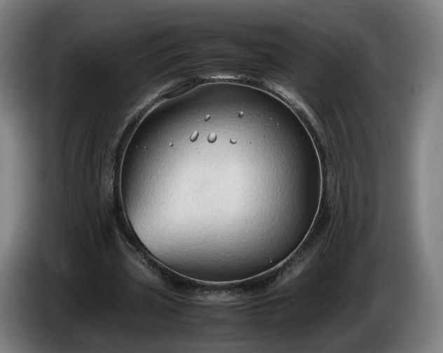 X0000086760533200704201747