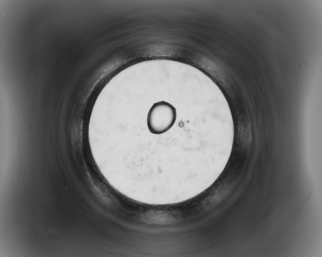 X0000086760534200704201747