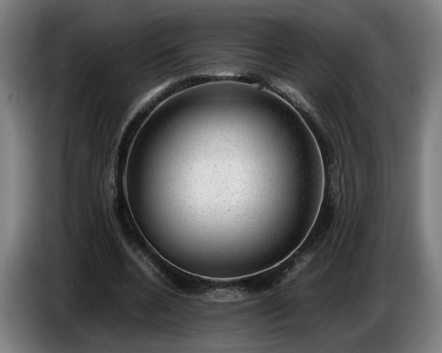 X0000086760536200704201747