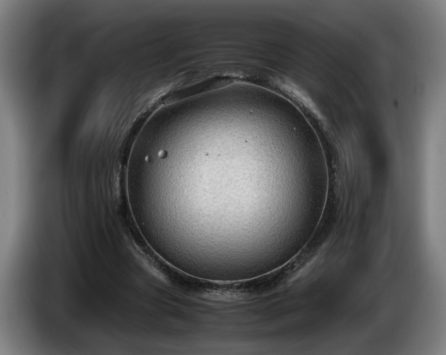 X0000086760537200704201747