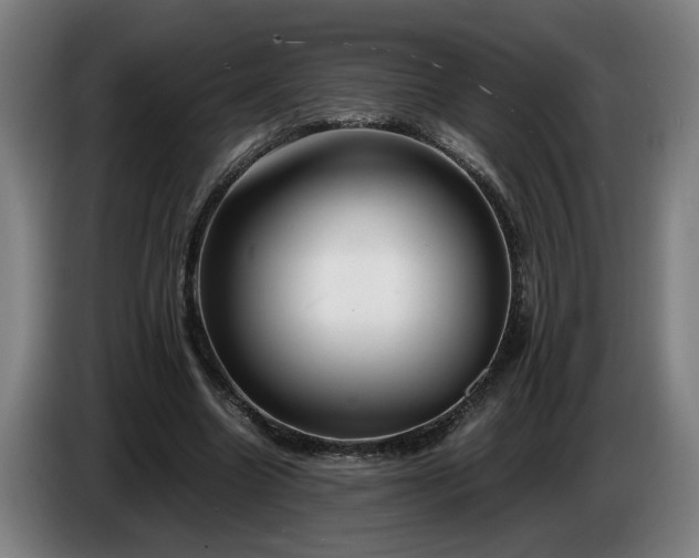X0000086760538200704201747